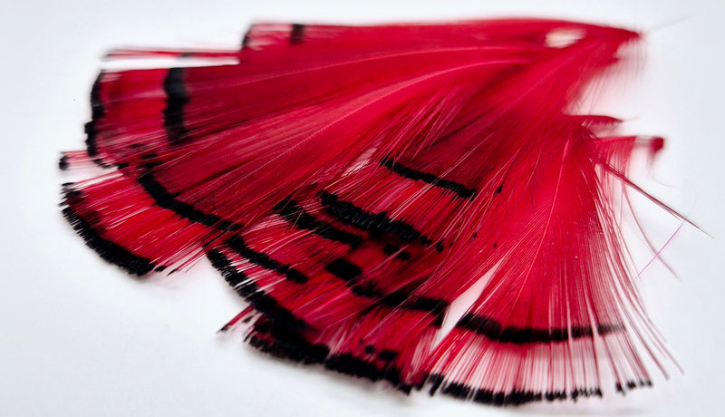 Shor Fishing - Golden Pheasant Tippets 12 Feathers