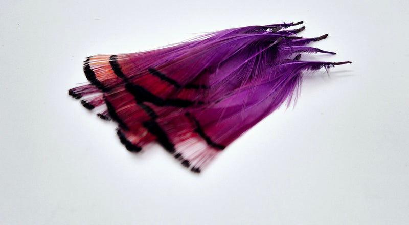 Shor Fishing - Golden Pheasant Tippets 12 Feathers