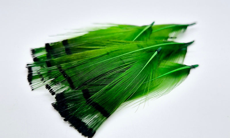 Shor Fishing - Golden Pheasant Tippets 12 Feathers