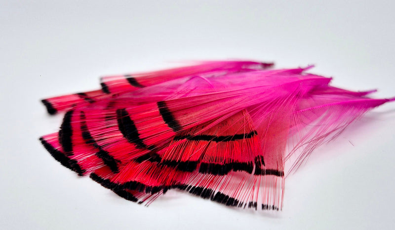 Shor Fishing - Golden Pheasant Tippets 12 Feathers