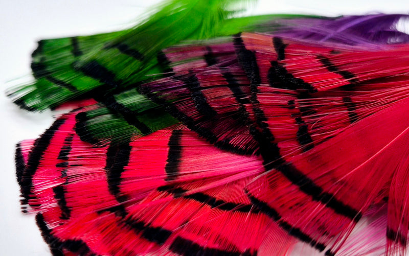 Shor Fishing - Golden Pheasant Tippets 12 Feathers