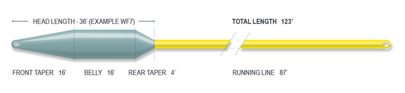 Airflo Superflo 40+ Extreme (Short Head)