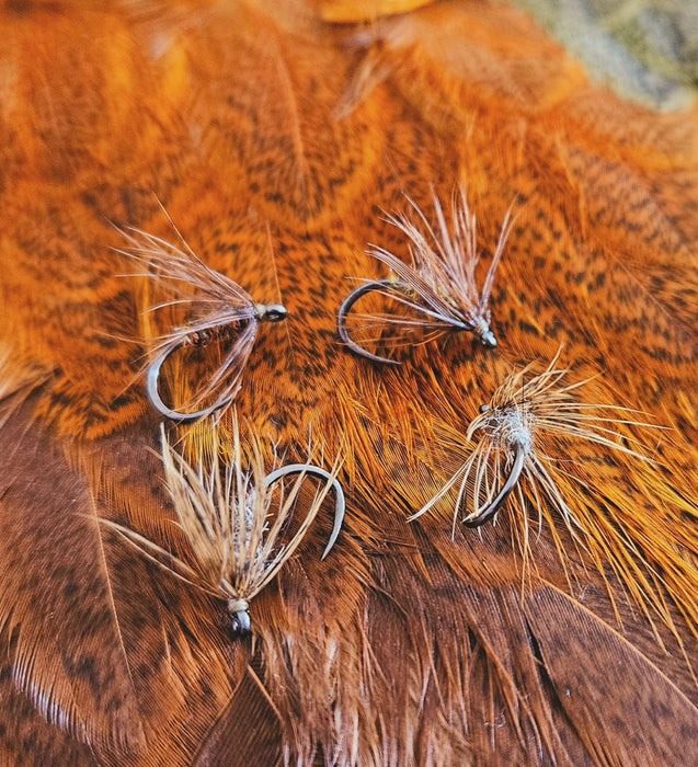 Whiting Farms - Brahma Hen Soft Hackle/Chickabou
