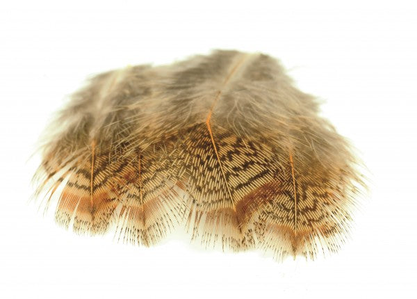 Veniard English Brown Partridge Back — Chuck N Duck Fly Tying Materials