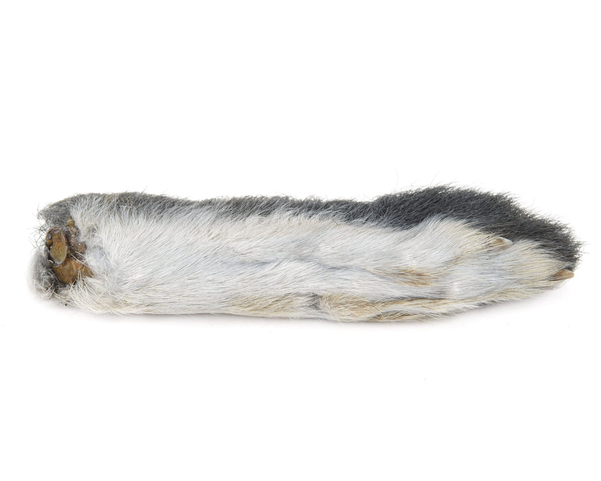 Nature's Spirit Snowshoe Rabbit Foot