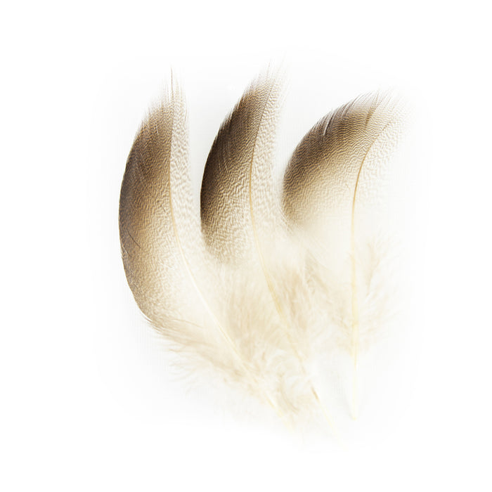 SHOR Fishing - Bronze Mallard Shoulder Feather Large