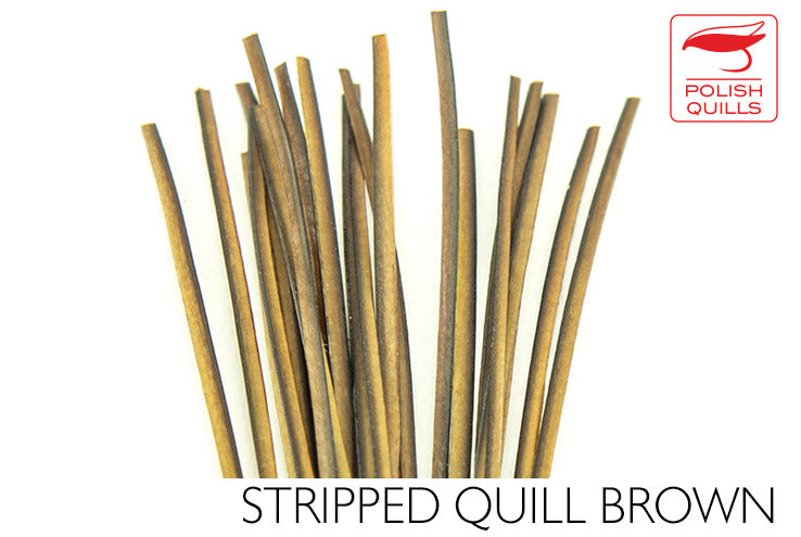 Polish Quills Hand Stripped Quillls
