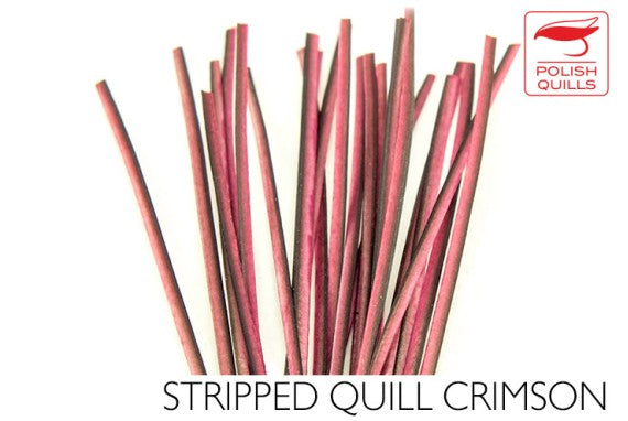 Polish Quills Hand Stripped Quillls