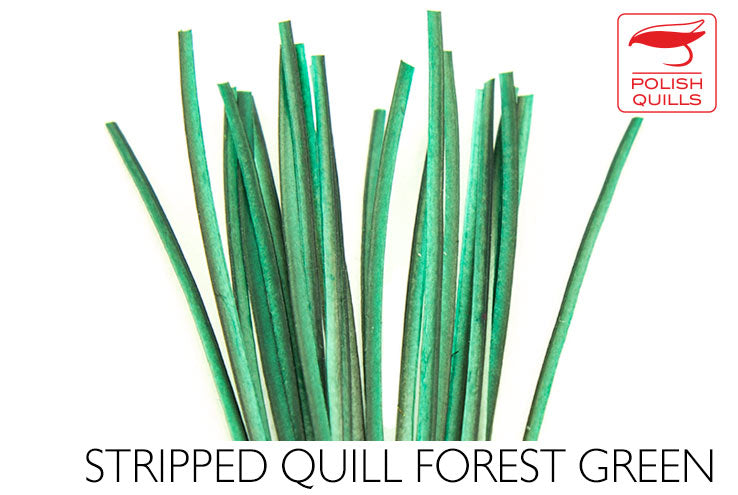 Polish Quills Hand Stripped Quillls