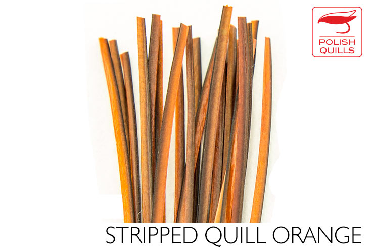 Polish Quills Hand Stripped Quillls