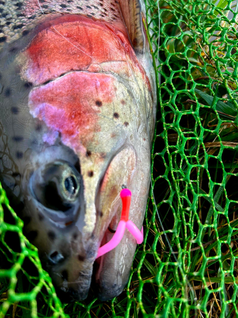 Squirmy Worm Material