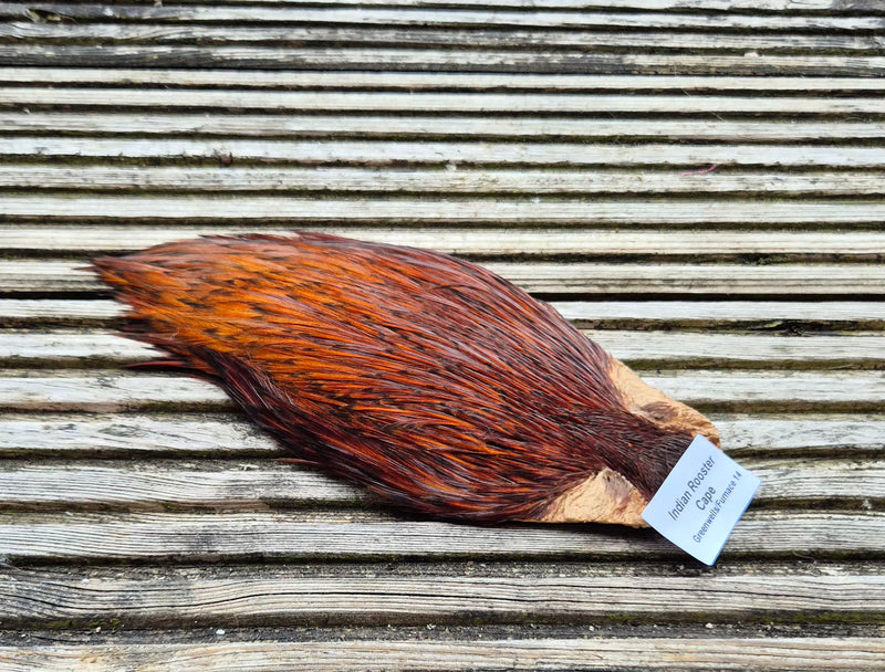 Indian Rooster Cape