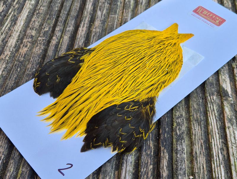 Whiting Farms - Brahma Rooster Cape - Badger