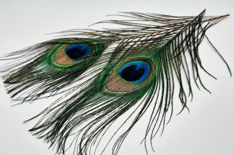 Veniard Peacock Eye Tops