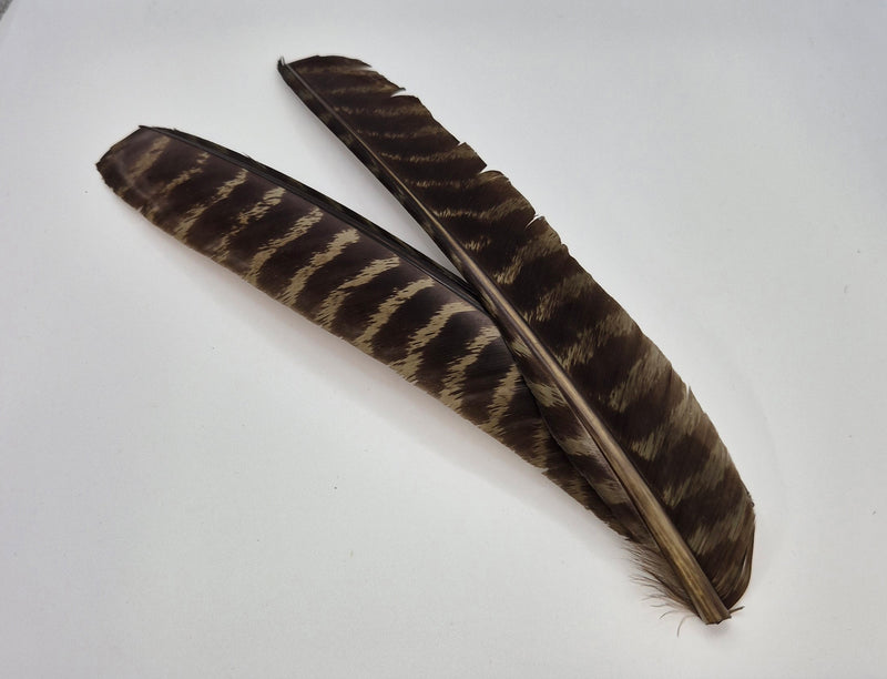 Nature's Spirit Wild Turkey Barred Biot Quills