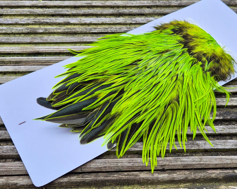 Whiting Farms - Brahma Rooster Saddle