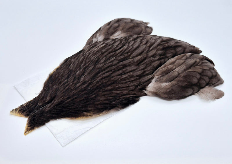 Whiting Farms 4Bs Hen Cape