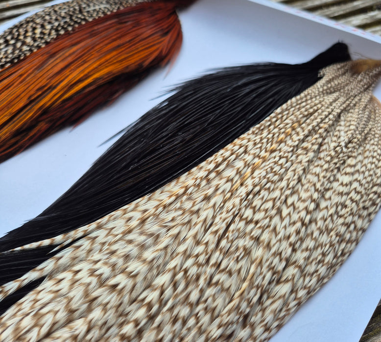 Whiting Farms Introductory Hackle Pack - Four Half Capes