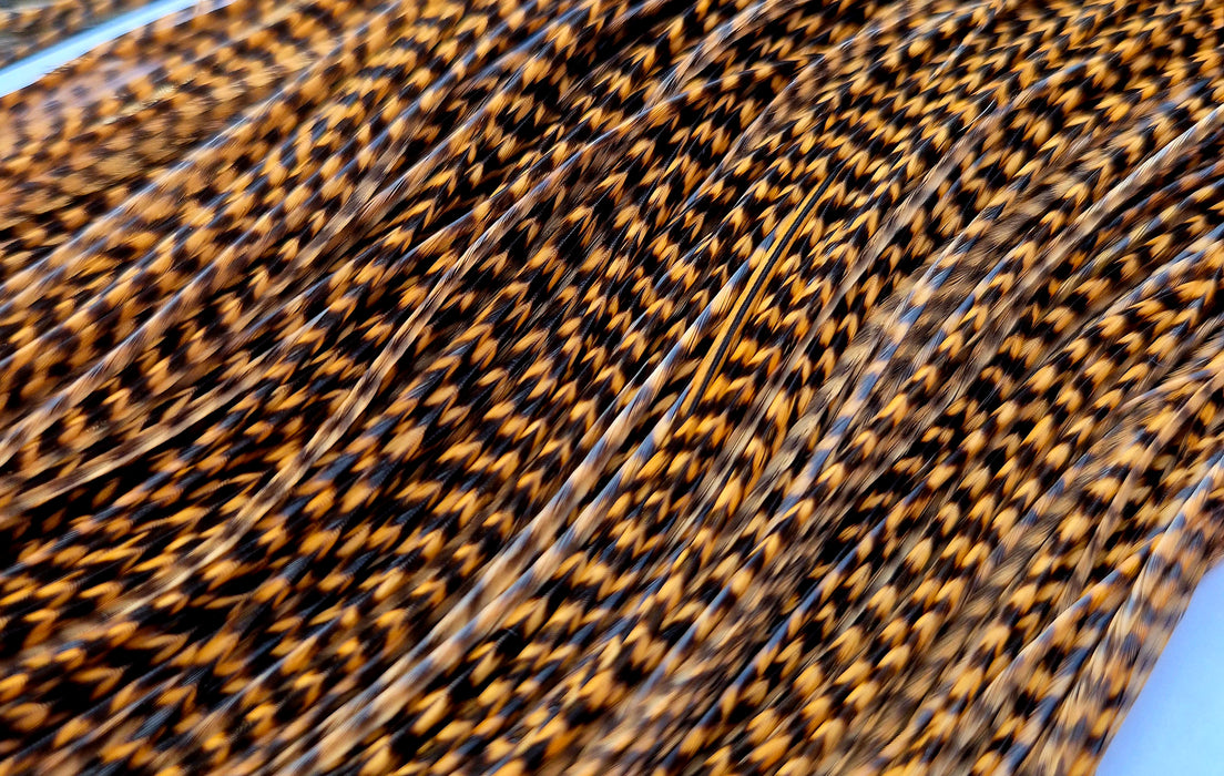 Whiting Farms - Pro Grade Midge Saddle - Grizzly Dyed March Brown