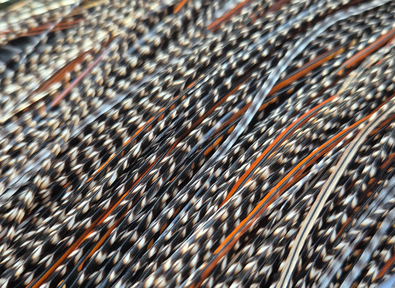 Whiting Farms - Pro Grade Midge Saddle - Grizzly Variant (Almost Cree)