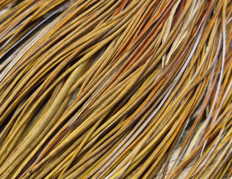 Whiting Farms - Pro Grade Midge Saddle - White Dyed Dark Olive