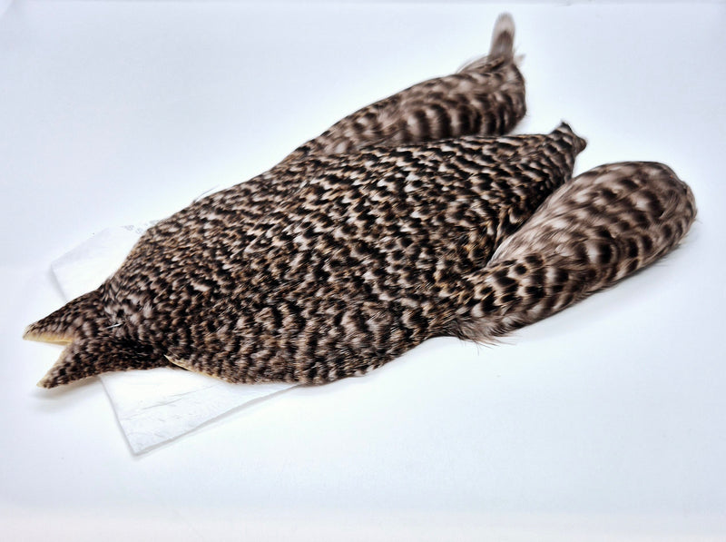 Whiting Farms 4Bs Hen Cape