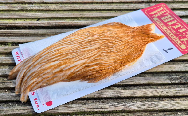 Whiting Farms - Hen Cape