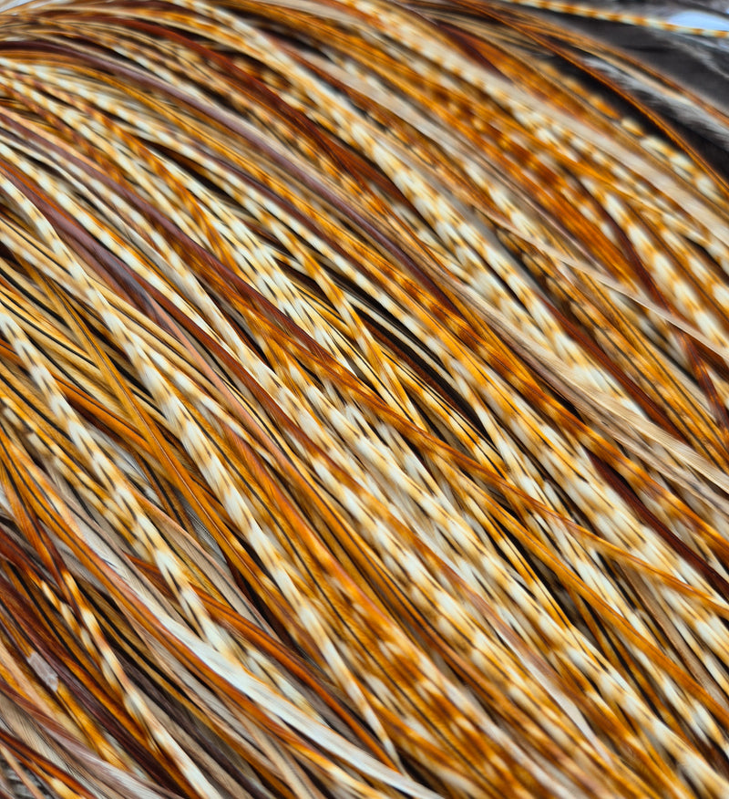 Whiting Farms - Pro Grade Midge Saddle - Barred Medium Ginger 2