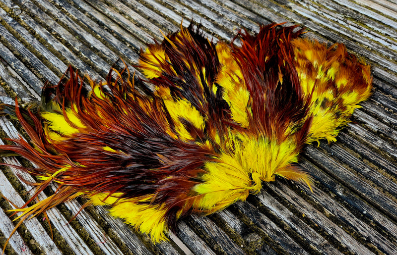 Genetic Rooster Saddles Spencer Hackles