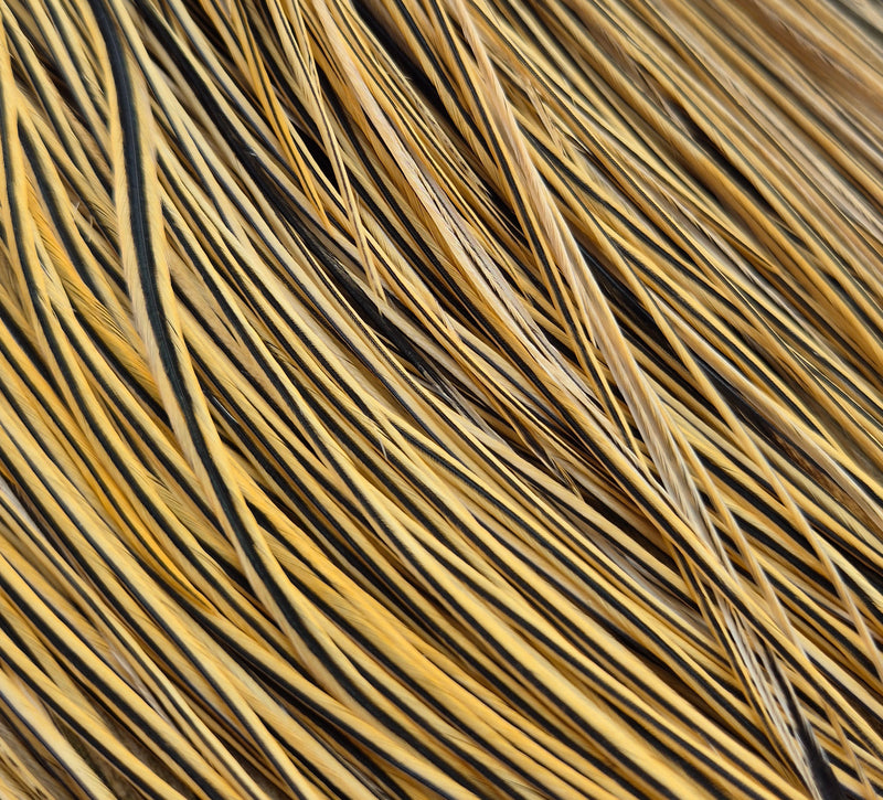 Whiting Farms - Pro Grade Midge Saddle - Golden Badger 1