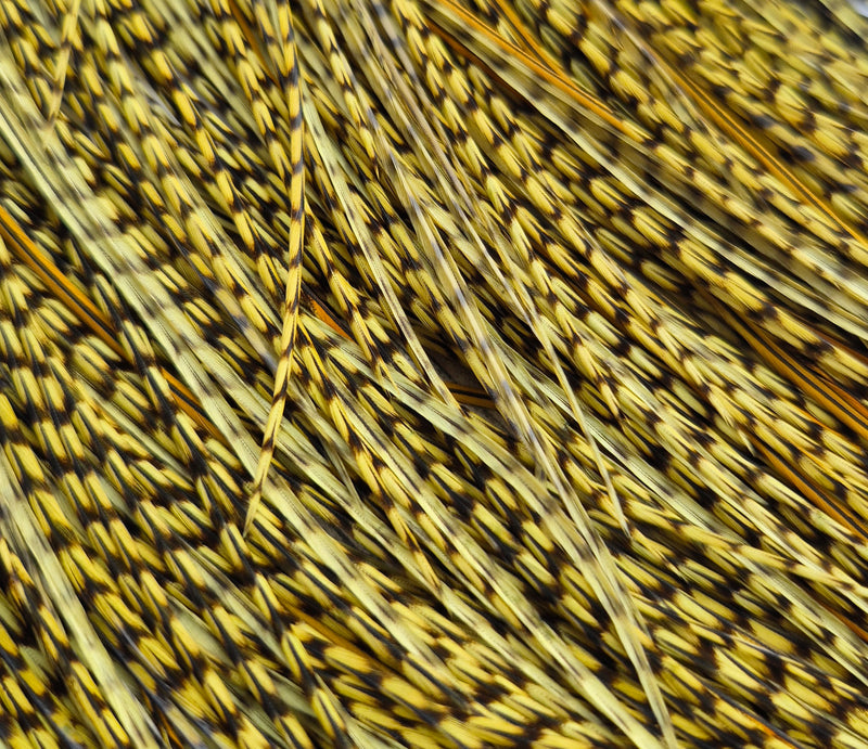 Whiting Farms - Pro Grade Midge Saddle - Grizzly Dyed Olive