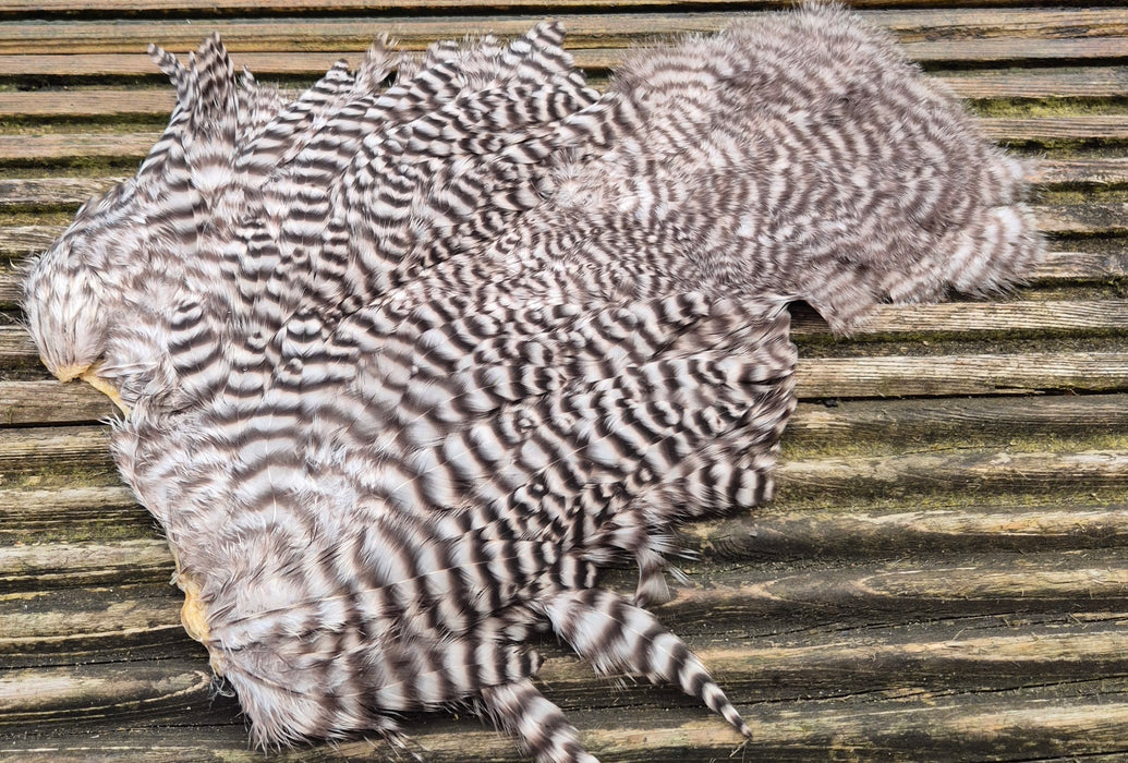 Whiting Farms -  Rooster Soft Hackle/Chickabou