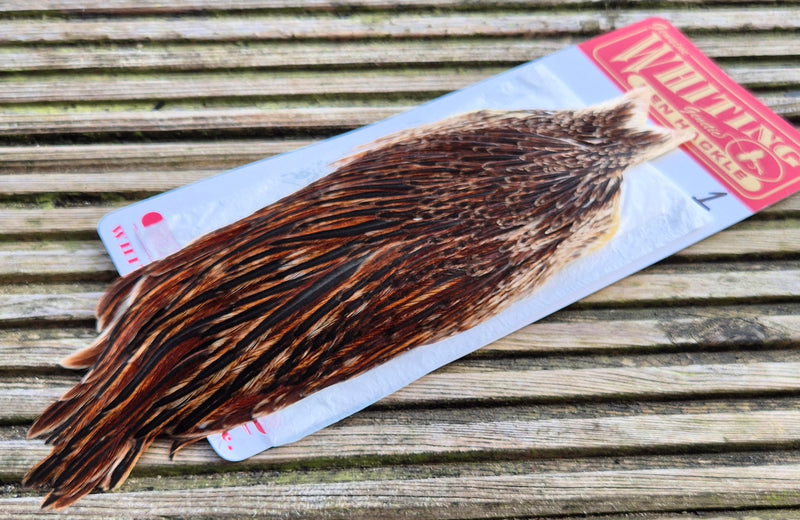 Whiting Farms - Hen Cape