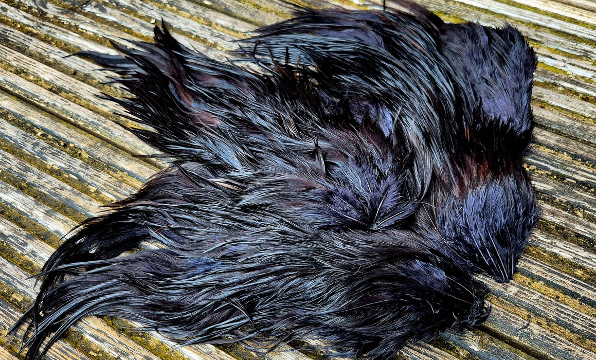 Genetic Rooster Saddles Spencer Hackles