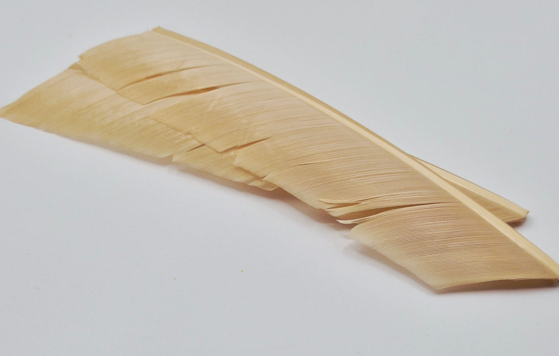 Nature's Spirit Turkey Biot Quills