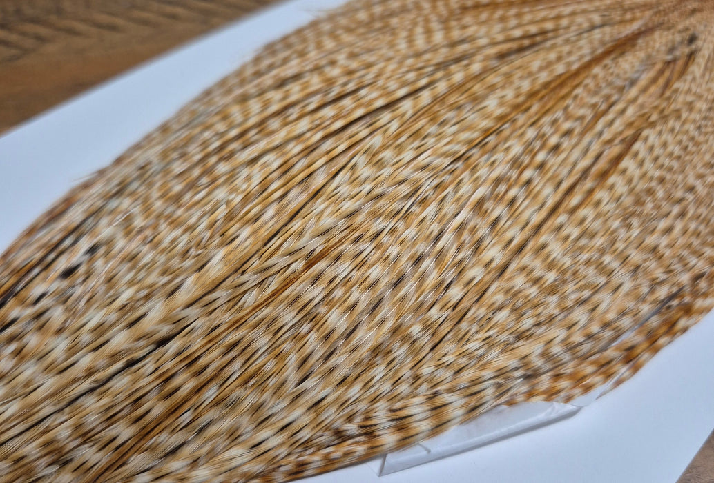 Whiting Farms - Commercial Grade Dry Fly Rooster Cape - Barred Medium Ginger