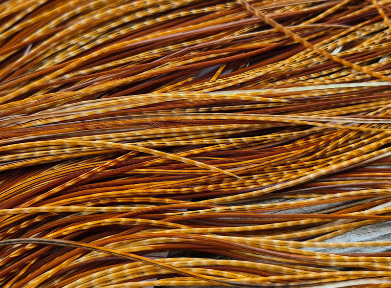 Whiting Farms - Pro Grade Midge Saddle - Barred Dark Ginger