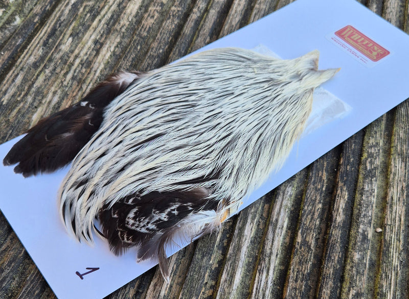 Whiting Farms - Brahma Rooster Cape - Badger