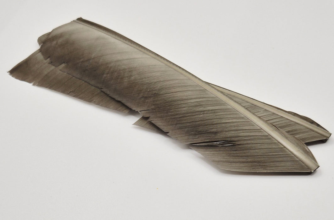 Nature's Spirit Turkey Biot Quills