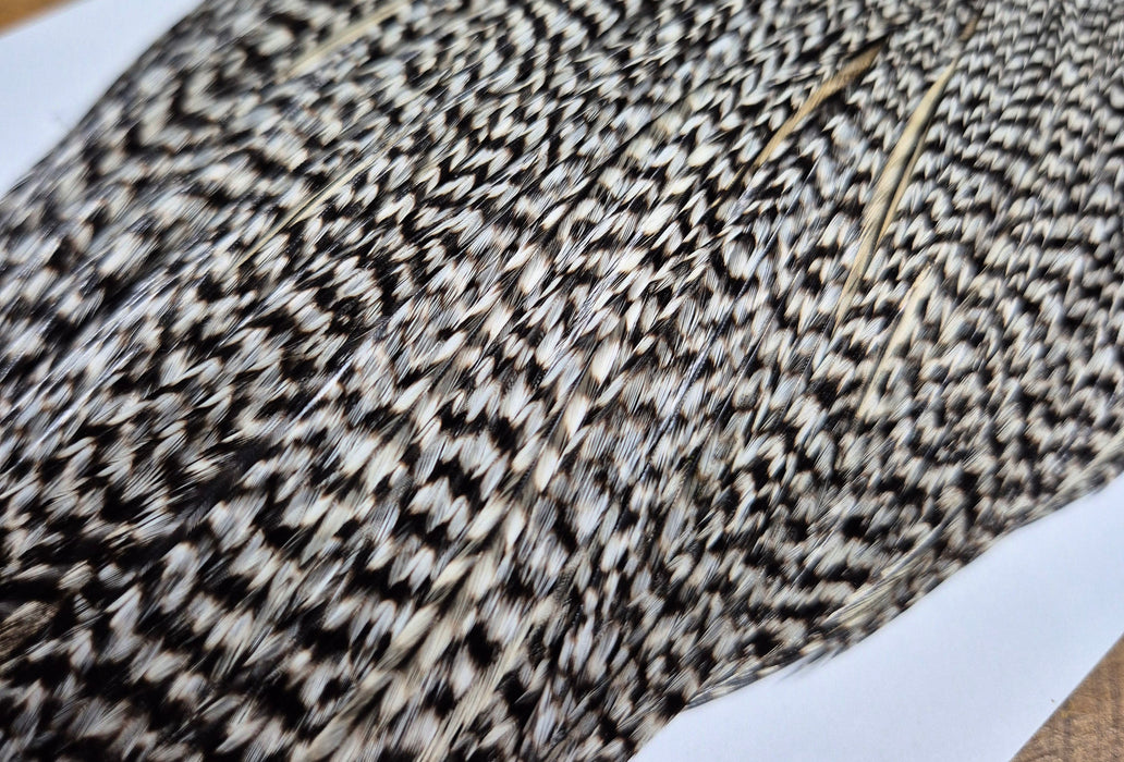 Whiting Farms - Commercial Grade Dry Fly Rooster Cape - Grizzly Variant