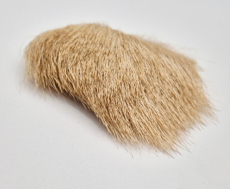 Nature's Spirit - Bull Elk