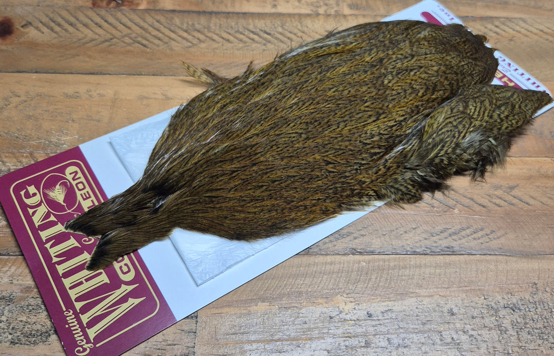 Whiting Farms - Coq de Leon Hen Capes