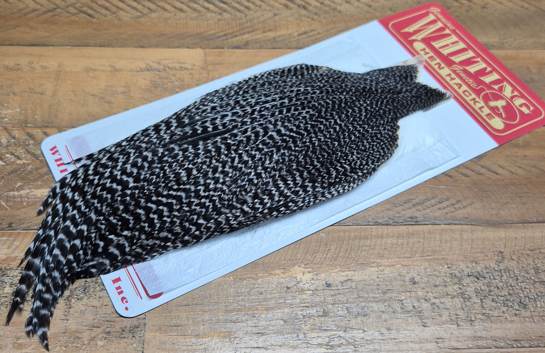 Whiting Farms - Hen Cape