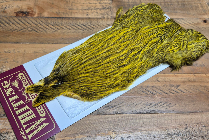 Whiting Farms - Coq de Leon Hen Capes