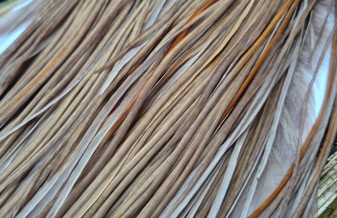 Whiting Farms - Commercial Grade Dry Fly Saddle - White Dyed Dark Dun