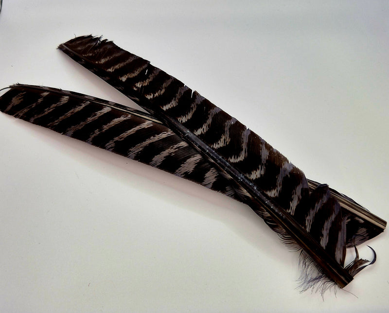 Nature's Spirit Wild Turkey Barred Biot Quills