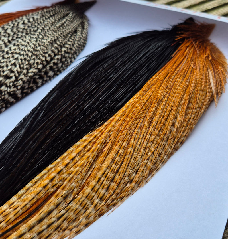 Whiting Farms Introductory Hackle Pack - Four Half Capes
