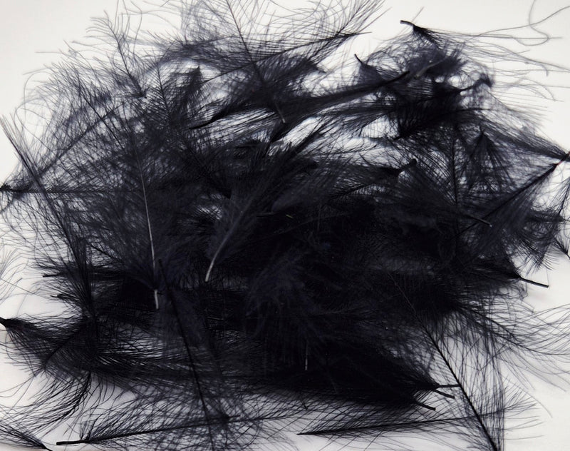 Nature's Spirit Duck Cul de Canard CDC