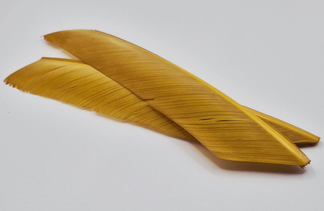 Nature's Spirit Turkey Biot Quills