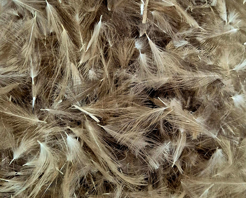 CDC Feathers Natural 3 Grams